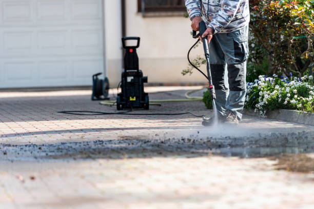 Best Residential Pressure Washing Services  in Park River, ND