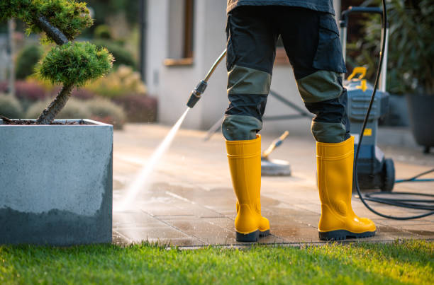 Best Deck Pressure Washing  in Park River, ND